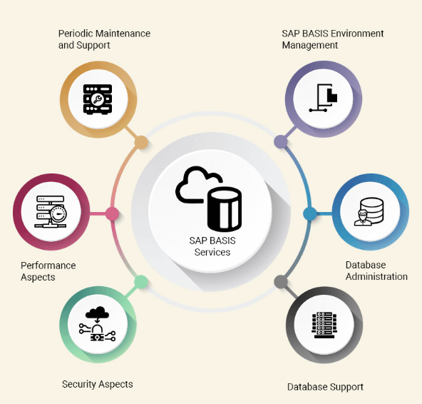 Servicios y Administracion SAP BASIS