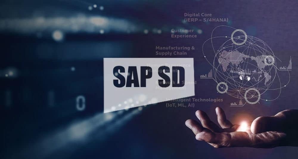 El Módulo de SD en SAP: Ventas y Distribución - Bikey Group