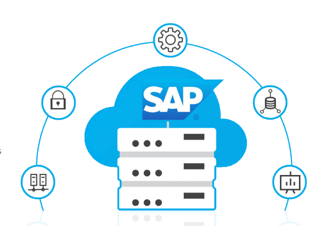 SAP BASIS Gestion